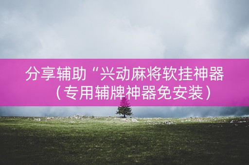 分享辅助“兴动麻将软挂神器（专用辅牌神器免安装）