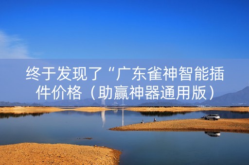 终于发现了“广东雀神智能插件价格（助赢神器通用版）