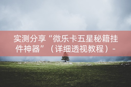 实测分享“微乐卡五星秘籍挂件神器”（详细透视教程）-哔哩哔哩