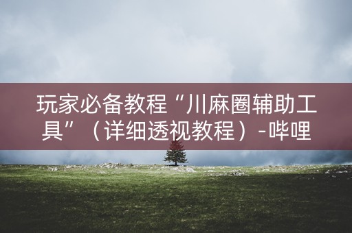 玩家必备教程“川麻圈辅助工具”（详细透视教程）-哔哩哔哩