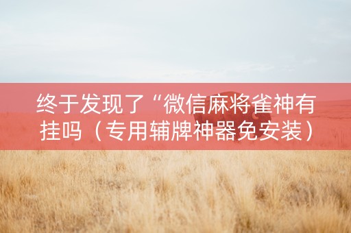终于发现了“微信麻将雀神有挂吗（专用辅牌神器免安装）