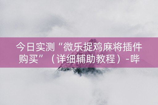 今日实测“微乐捉鸡麻将插件购买”（详细辅助教程）-哔哩哔哩