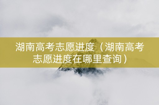 湖南高考志愿进度（湖南高考志愿进度在哪里查询）