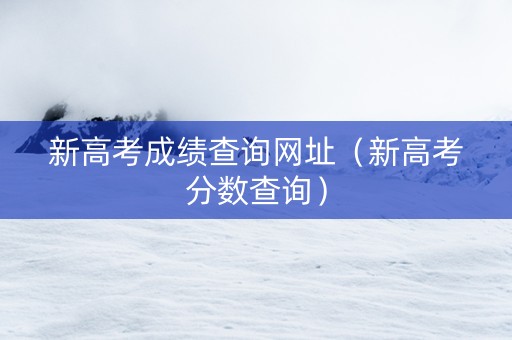 新高考成绩查询网址（新高考分数查询）