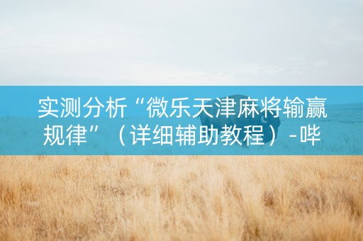 实测分析“微乐天津麻将输赢规律”（详细辅助教程）-哔哩哔哩