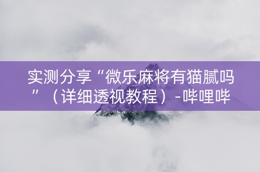 实测分享“微乐麻将有猫腻吗”（详细透视教程）-哔哩哔哩