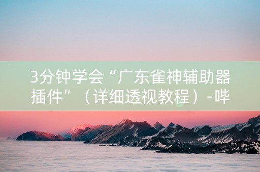 3分钟学会“广东雀神辅助器插件”（详细透视教程）-哔哩哔哩
