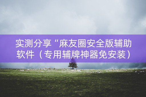 实测分享“麻友圈安全版辅助软件（专用辅牌神器免安装）