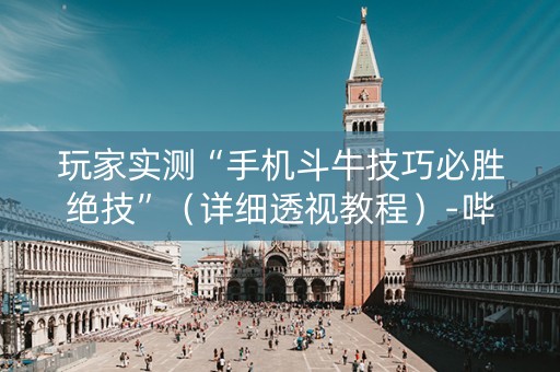 玩家实测“手机斗牛技巧必胜绝技”（详细透视教程）-哔哩哔哩