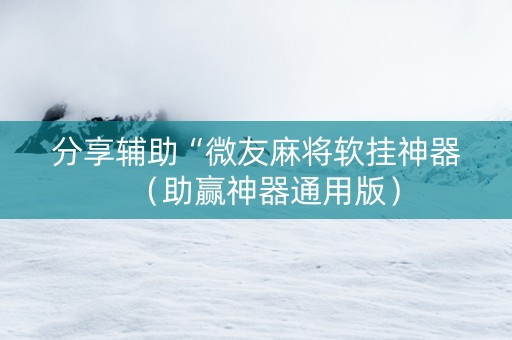 分享辅助“微友麻将软挂神器（助赢神器通用版）