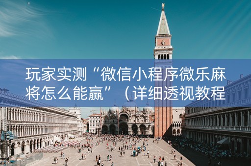 玩家实测“微信小程序微乐麻将怎么能赢”（详细透视教程）-哔哩哔哩