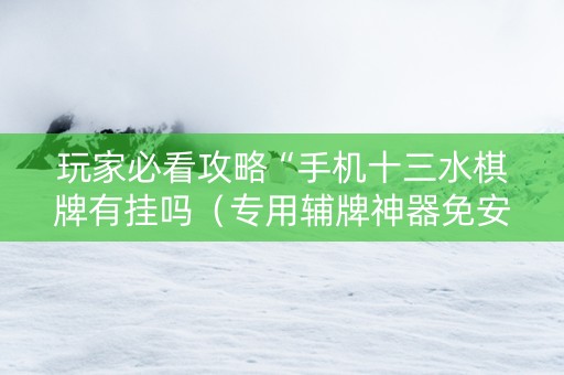 玩家必看攻略“手机十三水棋牌有挂吗（专用辅牌神器免安装）