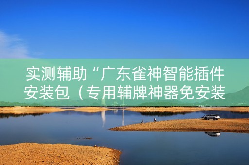 实测辅助“广东雀神智能插件安装包（专用辅牌神器免安装）