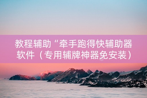教程辅助“牵手跑得快辅助器软件（专用辅牌神器免安装）