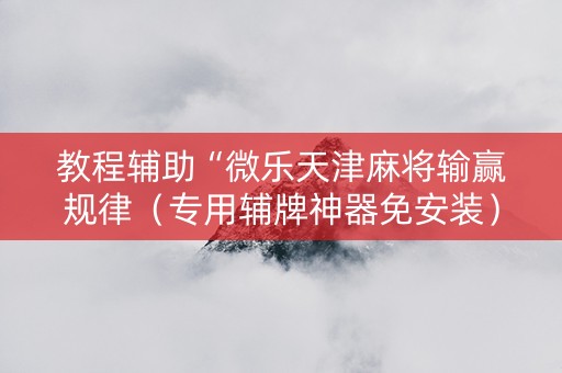 教程辅助“微乐天津麻将输赢规律（专用辅牌神器免安装）