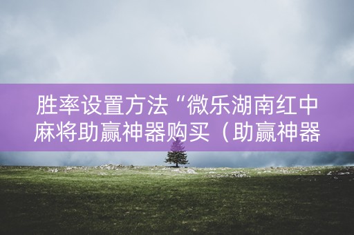 胜率设置方法“微乐湖南红中麻将助赢神器购买（助赢神器通用版）