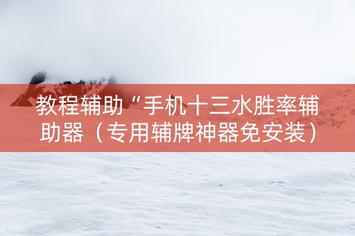 教程辅助“手机十三水胜率辅助器（专用辅牌神器免安装）
