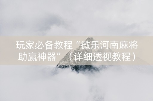 玩家必备教程“微乐河南麻将助赢神器”（详细透视教程）-哔哩哔哩