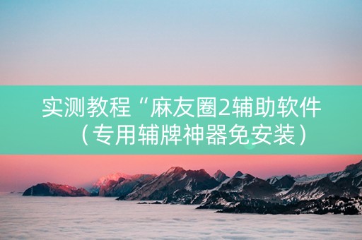 实测教程“麻友圈2辅助软件（专用辅牌神器免安装）