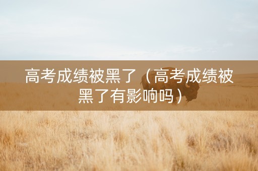 高考成绩被黑了（高考成绩被黑了有影响吗）