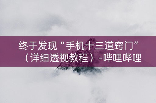 终于发现“手机十三道窍门”（详细透视教程）-哔哩哔哩
