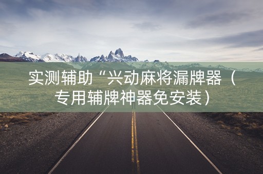实测辅助“兴动麻将漏牌器（专用辅牌神器免安装）
