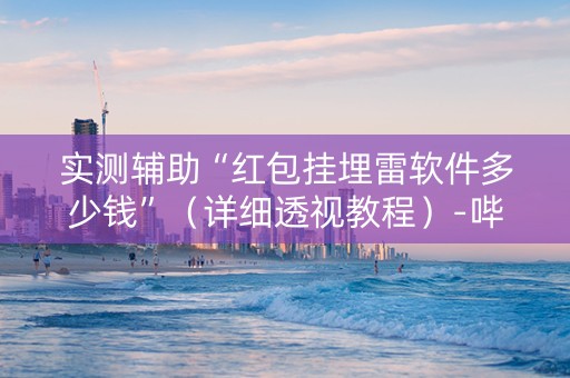实测辅助“红包挂埋雷软件多少钱”（详细透视教程）-哔哩哔哩
