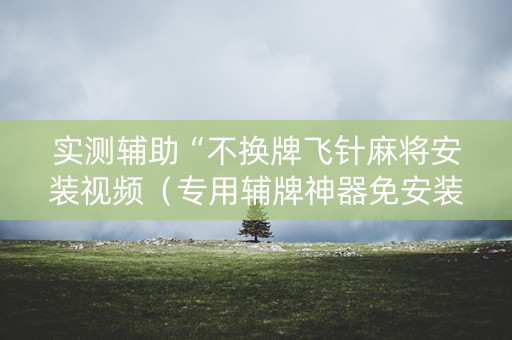 实测辅助“不换牌飞针麻将安装视频（专用辅牌神器免安装）