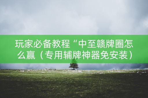 玩家必备教程“中至赣牌圈怎么赢（专用辅牌神器免安装）