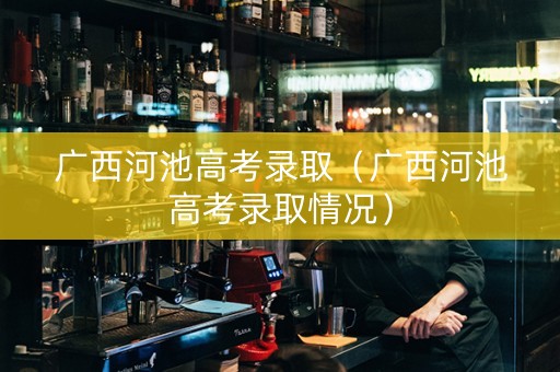 广西河池高考录取（广西河池高考录取情况）