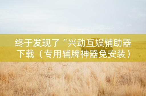 终于发现了“兴动互娱辅助器下载（专用辅牌神器免安装）