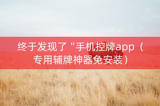 终于发现了“手机控牌app（专用辅牌神器免安装）