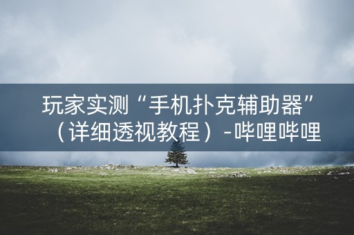 玩家实测“手机扑克辅助器”（详细透视教程）-哔哩哔哩