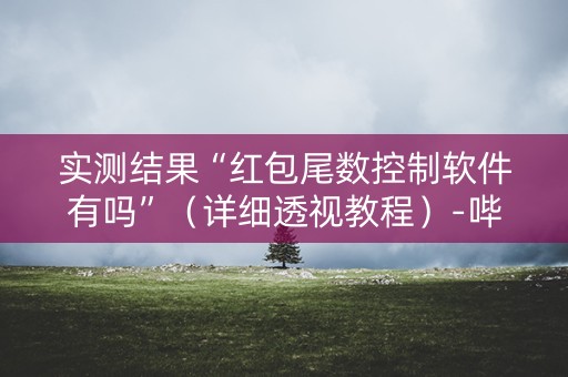 实测结果“红包尾数控制软件有吗”（详细透视教程）-哔哩哔哩