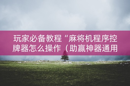 玩家必备教程“麻将机程序控牌器怎么操作（助赢神器通用版）