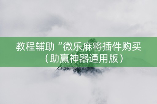 教程辅助“微乐麻将插件购买（助赢神器通用版）