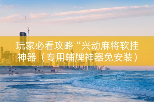 玩家必看攻略“兴动麻将软挂神器（专用辅牌神器免安装）