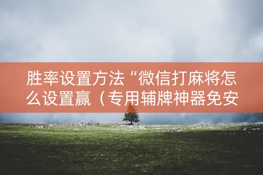 胜率设置方法“微信打麻将怎么设置赢（专用辅牌神器免安装）