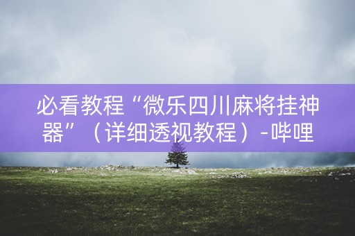 必看教程“微乐四川麻将挂神器”（详细透视教程）-哔哩哔哩