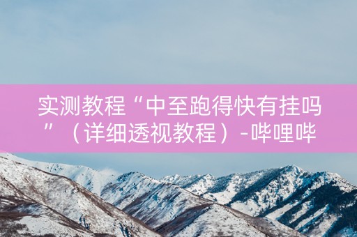 实测教程“中至跑得快有挂吗”（详细透视教程）-哔哩哔哩