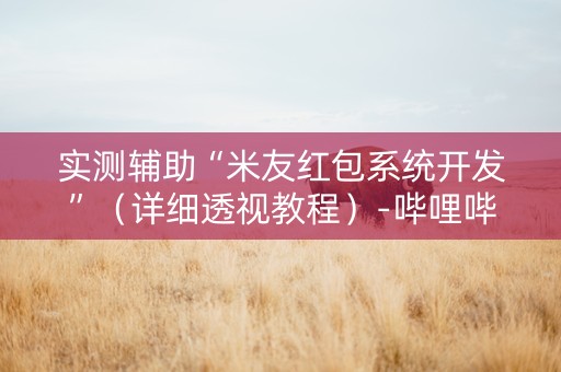 实测辅助“米友红包系统开发”（详细透视教程）-哔哩哔哩