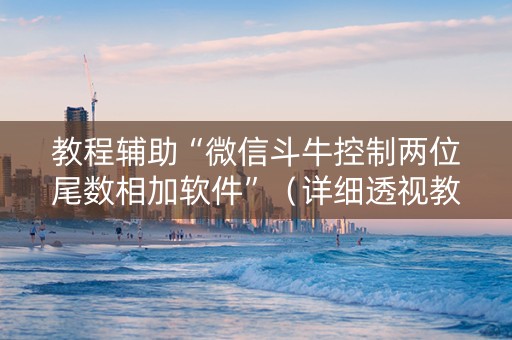 教程辅助“微信斗牛控制两位尾数相加软件”（详细透视教程）-哔哩哔哩