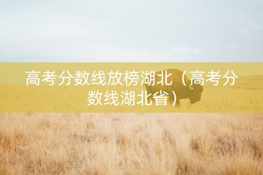 高考分数线放榜湖北（高考分数线湖北省）