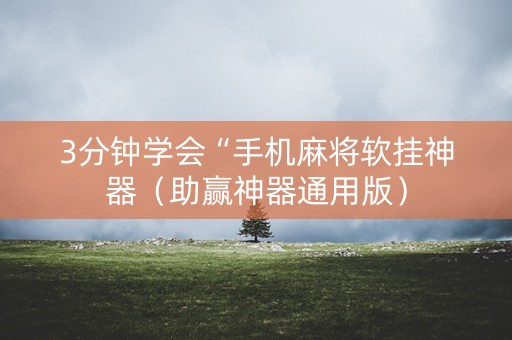 3分钟学会“手机麻将软挂神器（助赢神器通用版）