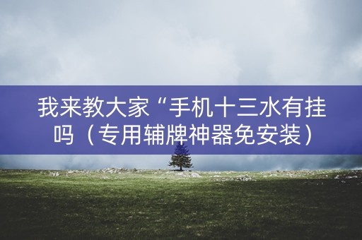 我来教大家“手机十三水有挂吗（专用辅牌神器免安装）