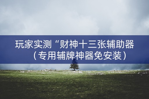 玩家实测“财神十三张辅助器（专用辅牌神器免安装）