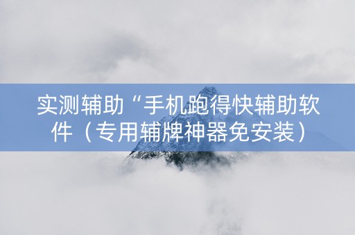 实测辅助“手机跑得快辅助软件（专用辅牌神器免安装）