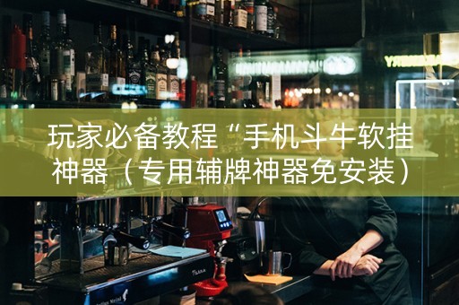 玩家必备教程“手机斗牛软挂神器（专用辅牌神器免安装）