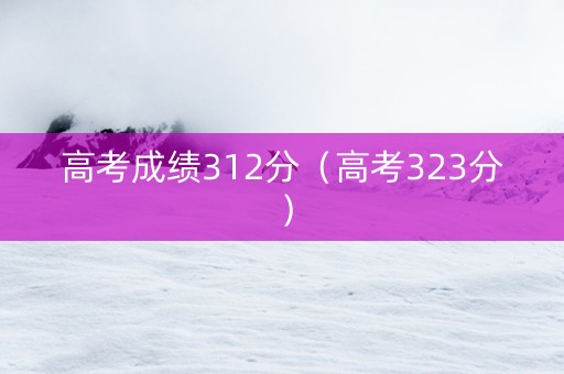 高考成绩312分（高考323分）