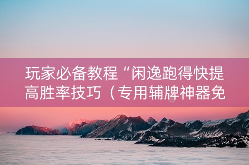 玩家必备教程“闲逸跑得快提高胜率技巧（专用辅牌神器免安装）